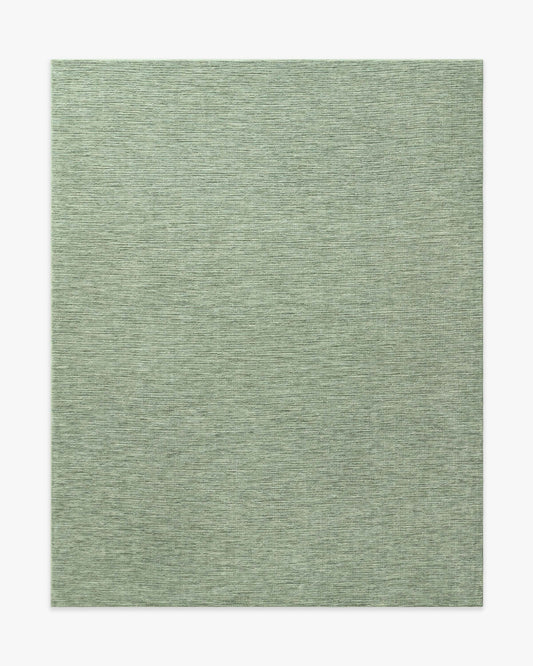 245x305