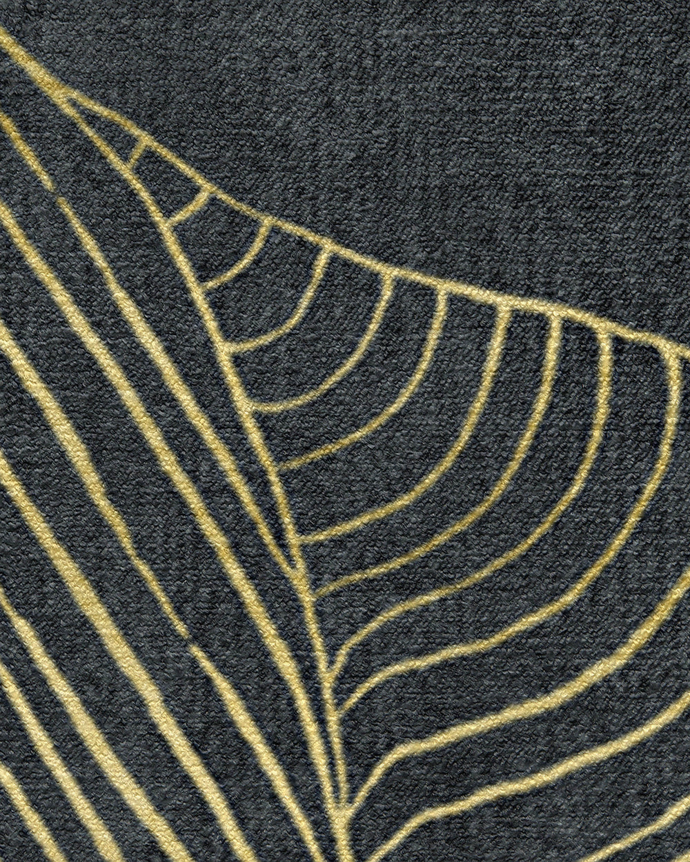 150x215