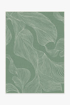 150x215