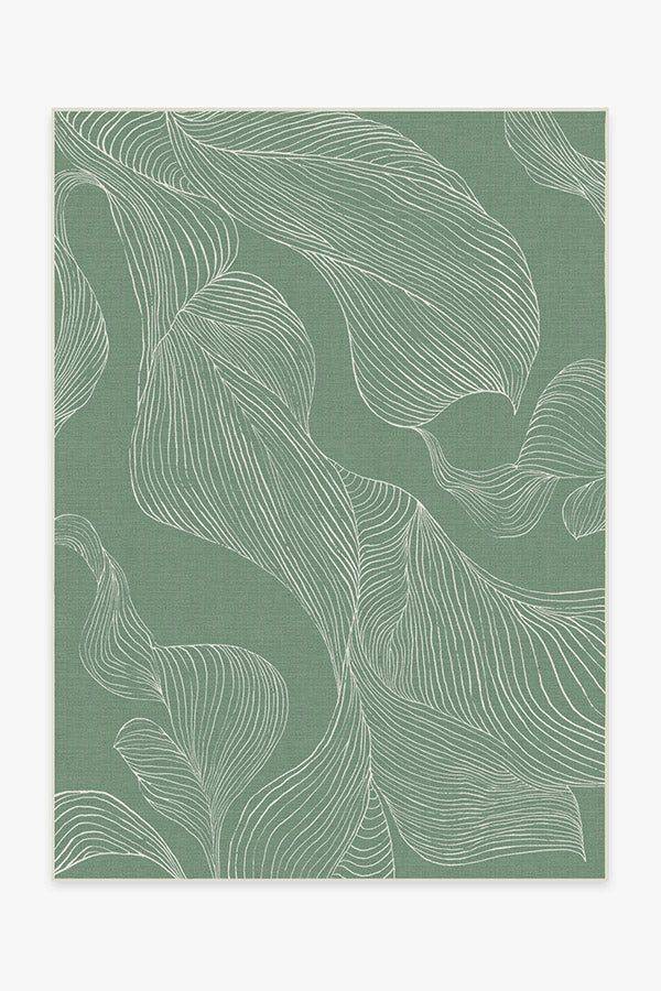 150x215
