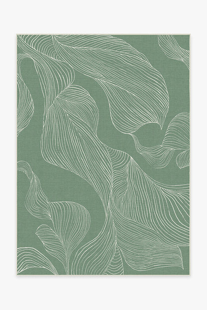 150x215