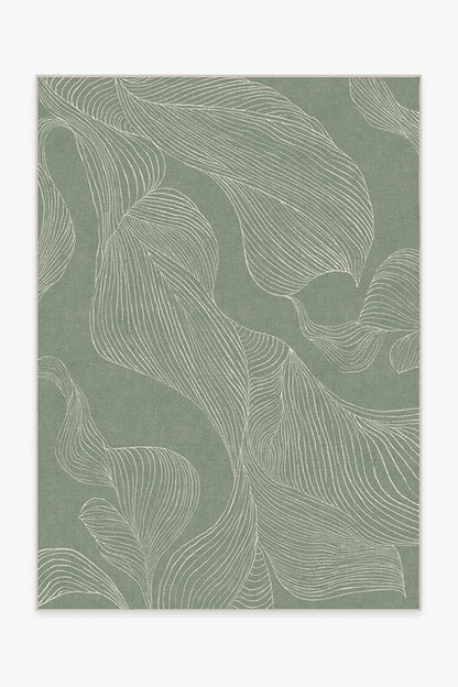 150x215