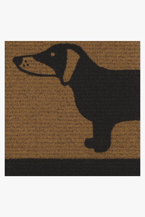 DM23
